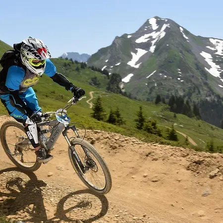 Mitoulets 3 41 - Snow And Trek - Appartement Morzine